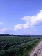 Rakůvka