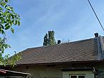 Třibřichy