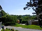 Borovina