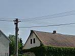 Třibřichy