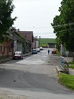 Třibřichy