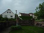 Třibřichy
