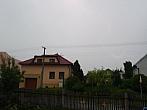 Třibřichy