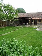 Třibřichy