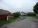 Třibřichy