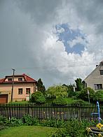 Třibřichy