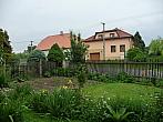 Třibřichy