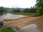 Borovina