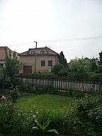 Třibřichy
