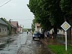 Třibřichy
