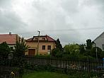 Třibřichy