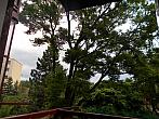 Borovina