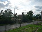Třibřichy