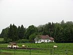 Studnice