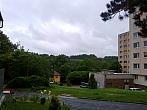 Borovina