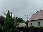Třibřichy