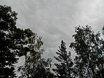 Borovina