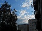 Borovina