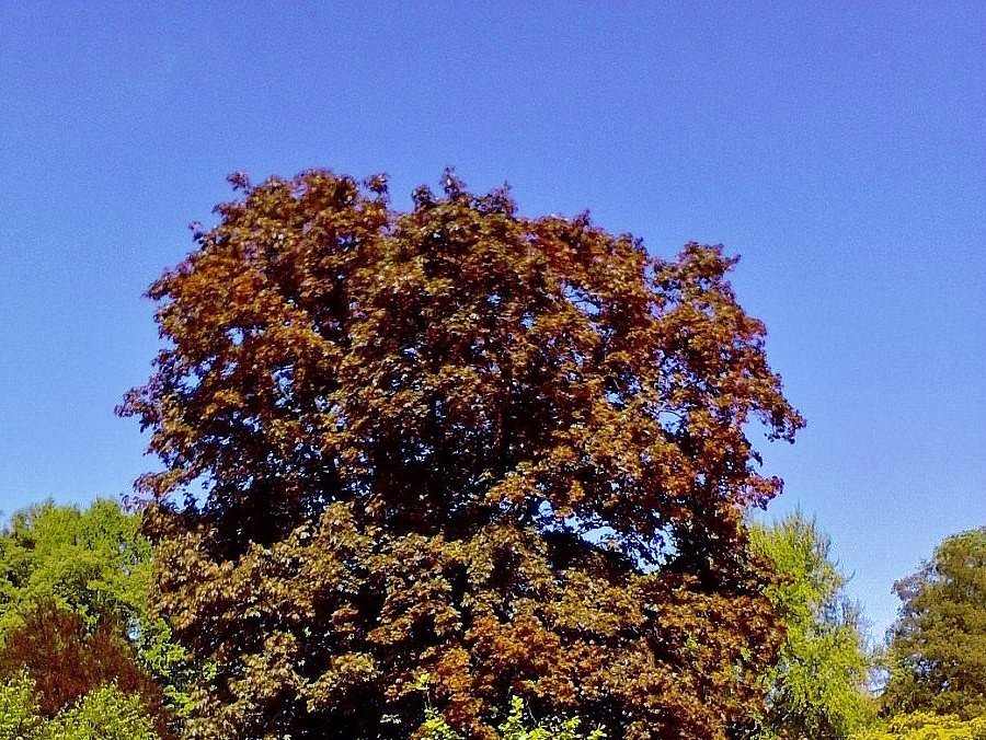 Kroměříž