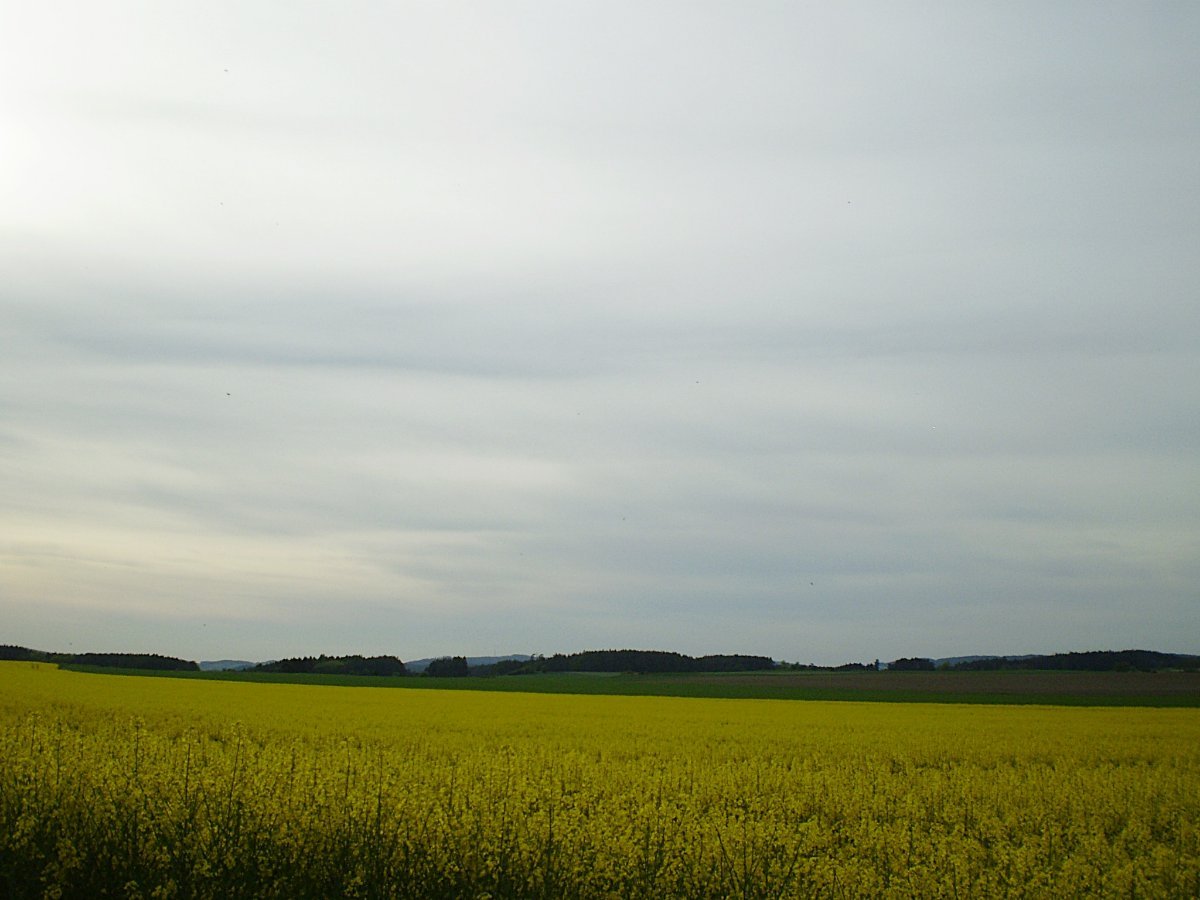 Hostákov