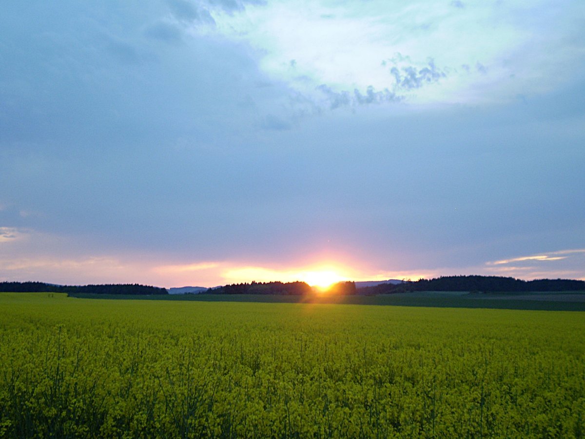 Hostákov