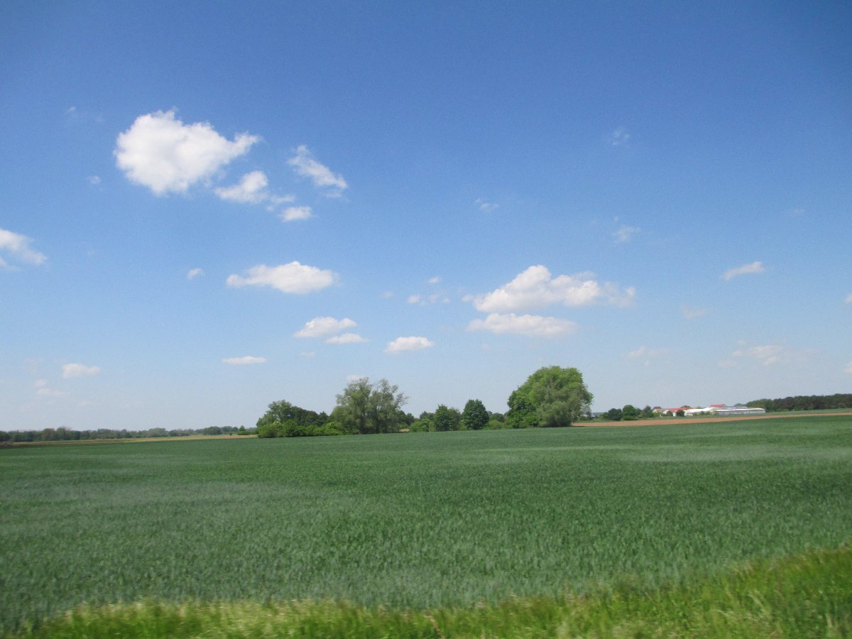 Ostrá