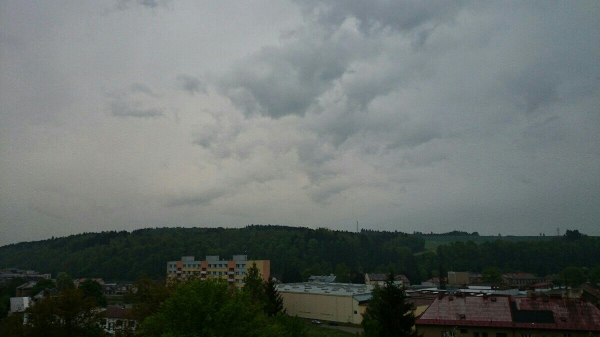 Hostinné