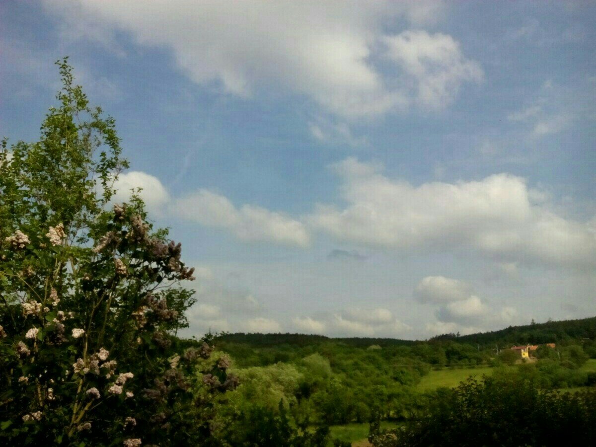 Habrovany