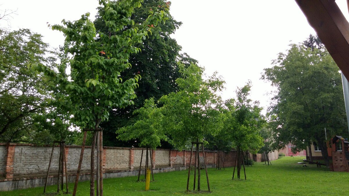 Olšany u Prostějova
