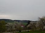 Zajíčkov