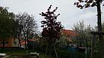 Olšany u Prostějova