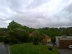 Borovina