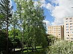 Borovina