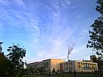 Borovina