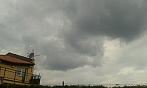 Ostarva