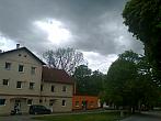 Borovina