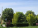 Neratovice