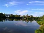 Borovina