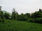 Borovina