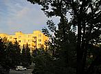Borovina