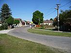 Třibřichy