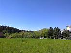 Borovina