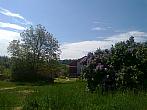 Borovina