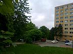 Borovina