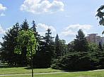 Neratovice