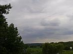 Vidov