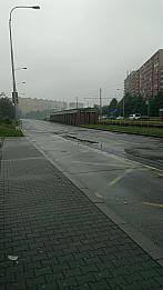 Ostarva