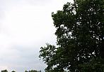 Ostrava-Poruba