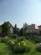 Třibřichy