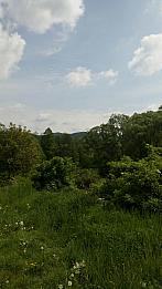 Nedvědice